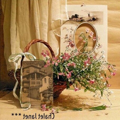 Amp Promocions Janet - Photo3
