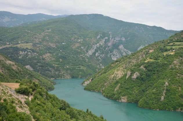 Bujtina Merturi - Photo4