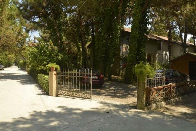 Miro Villa - Photo2