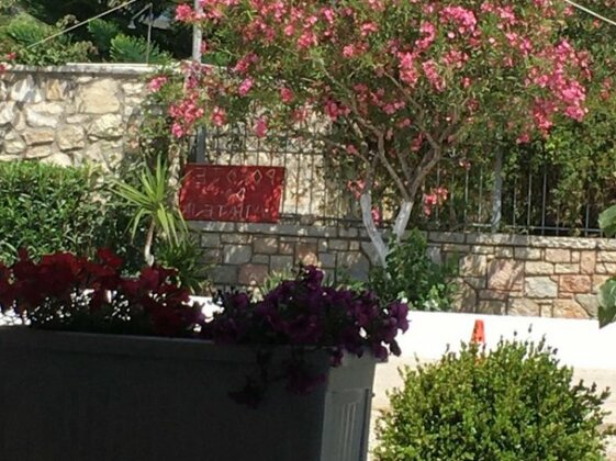 Bollanos Hotel - Photo3