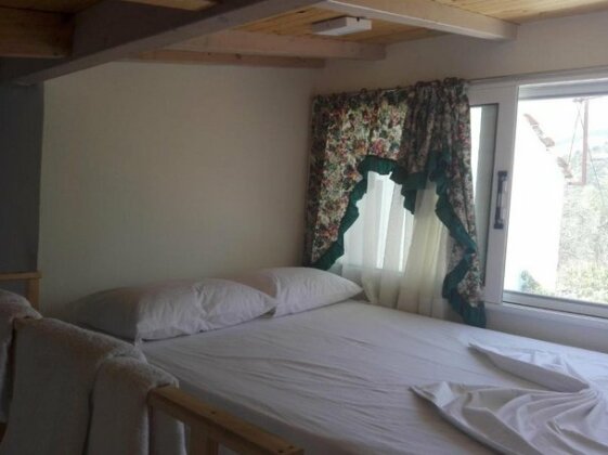 Tonea's Houses - Photo4