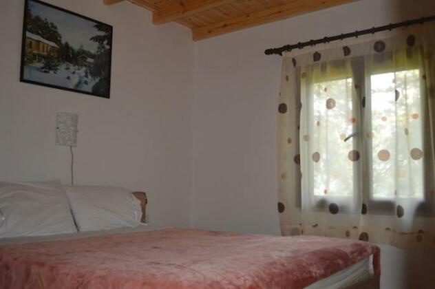 Akademia Hotel - Photo3