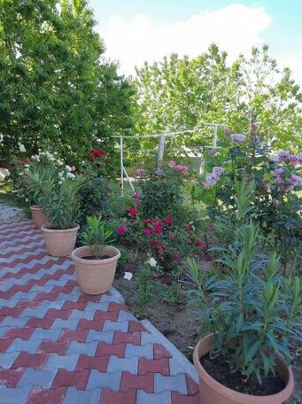 Sun&Relax Home - Photo5