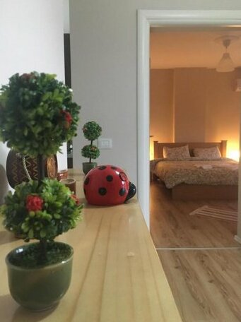 Trako s Home - Photo5