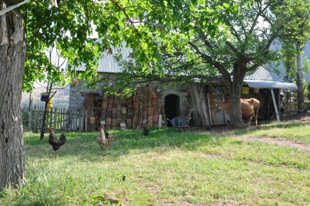 Bujtina Gjana - Photo5