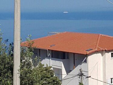 Shaha Apartament