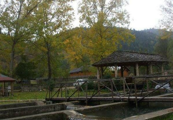 Farma Sotira - Photo3