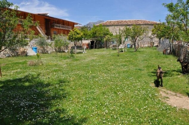 Guest House Luiza - Photo4