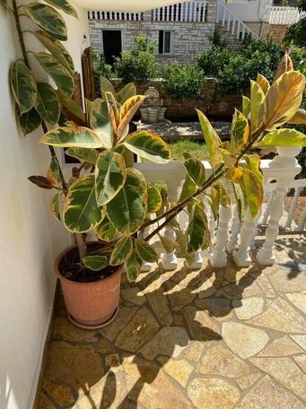 Apartments Roku Sarande - Photo2