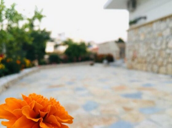 Guesthouse Redi - Photo4