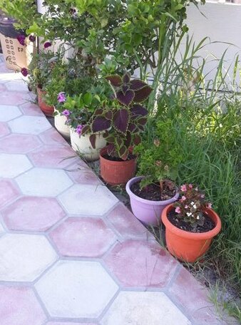 Guesthouse Sueda - Photo3