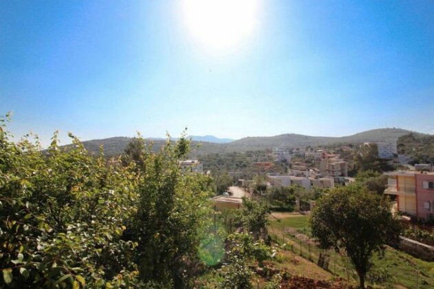 Vila Bilbil - Photo4