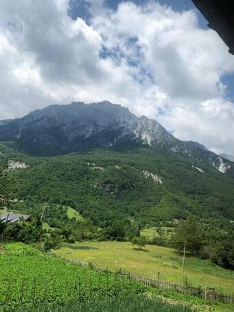 Bujtina Terthorja - Photo3