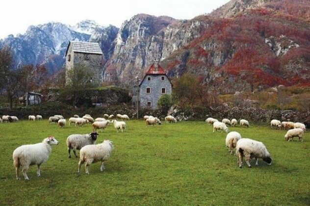 Shpella Guesthouse Theth - Photo4