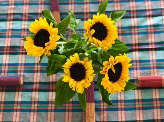 Flo's Sunny Home - Photo2