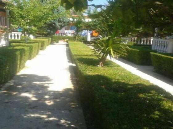 Amarildo Complex - Photo2