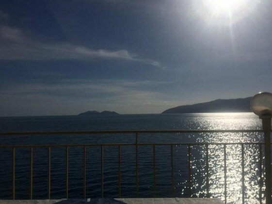 Blue Dream Vlore - Photo3