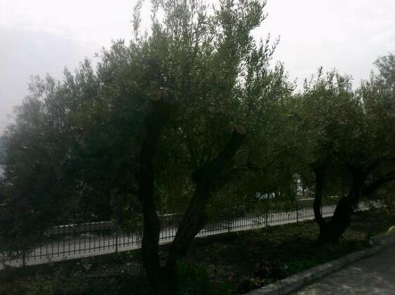 Gamel Guest House - Photo5