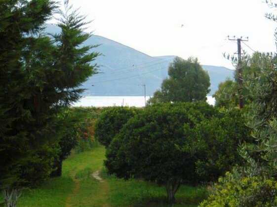 Garden Vila Jako - Photo2