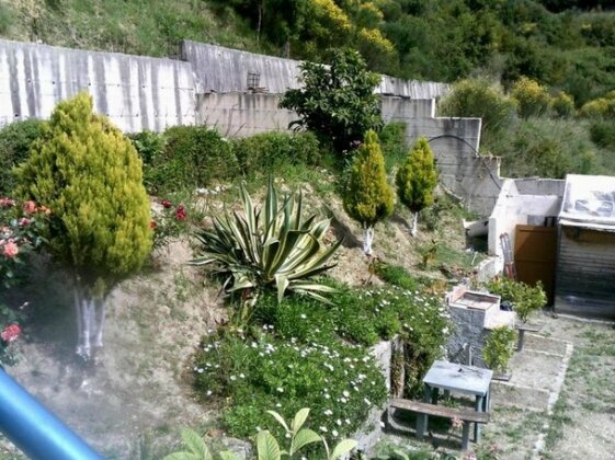 Guest House Arifi - Photo3