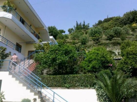 Guest House Arifi - Photo4