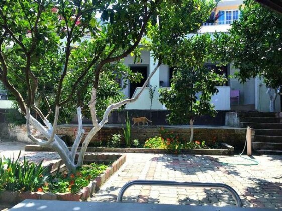 Guesthouse Aulona - Photo4