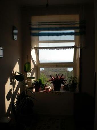 Vila Hodo - Photo3