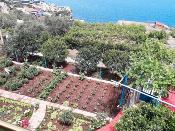 Villa Eliseo - Photo5