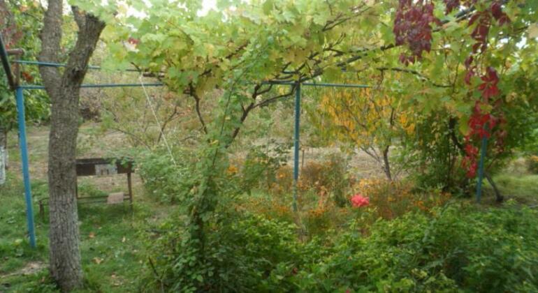 Ararat B&B - Photo2
