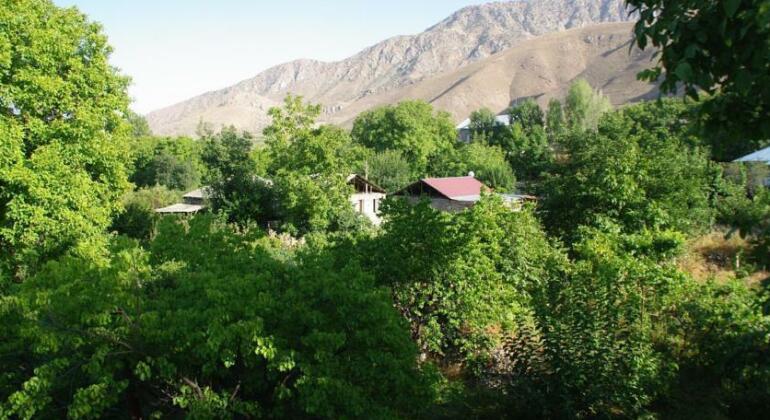 Areni House B&B - Photo3