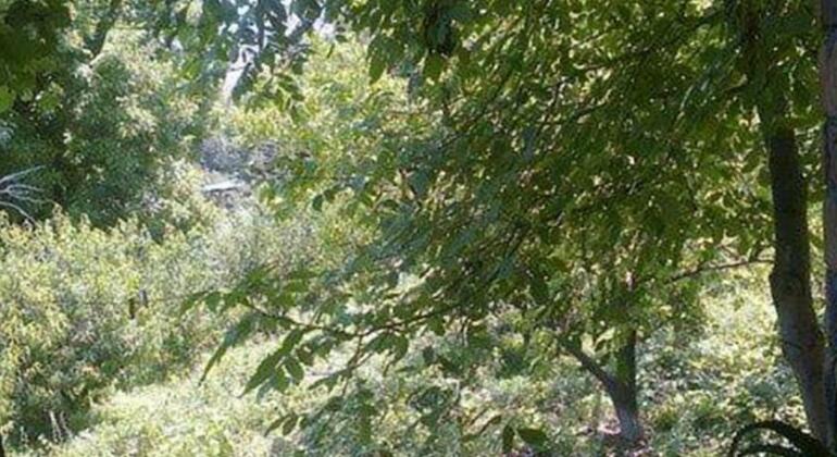 Areni House B&B - Photo4