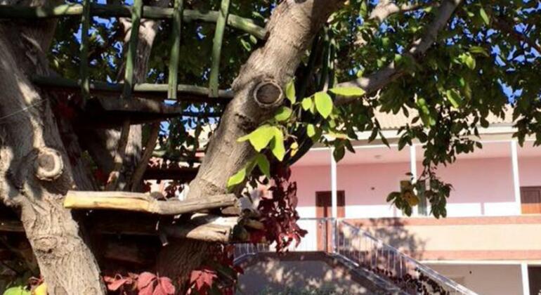 Noravank B&B - Photo2