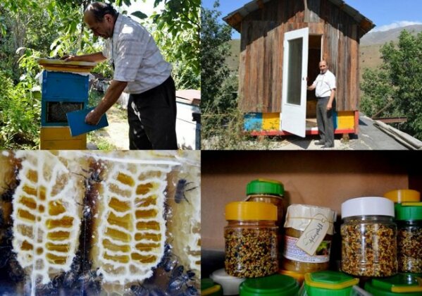Bee&B - apitherapy center & guesthouse - Photo2
