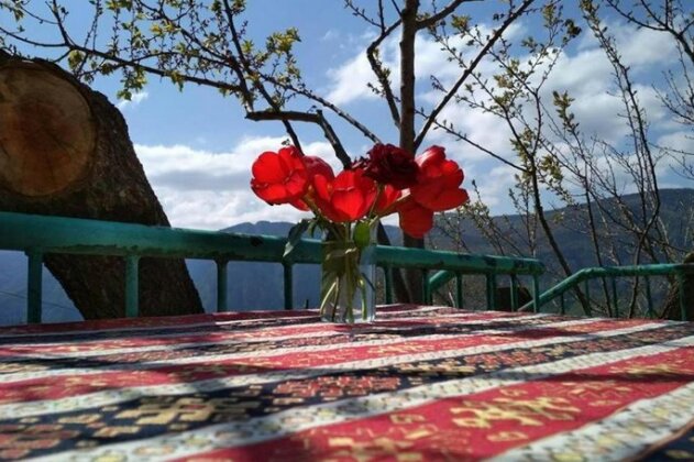 Igor Bed and Breakfast - Photo3