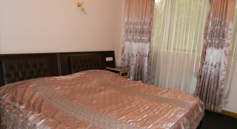 SAYA Hotel Tsaghkadzor - Photo3