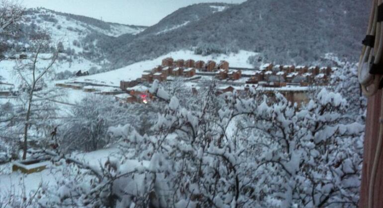 Villa in Tsaghkadzor - Photo4