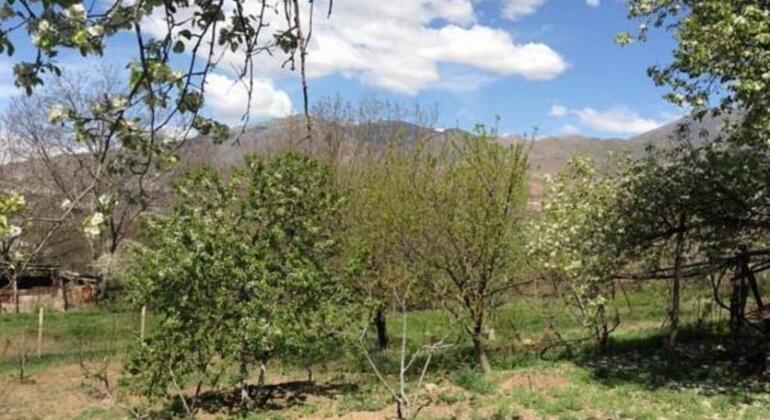 Astghik guest house - Photo4