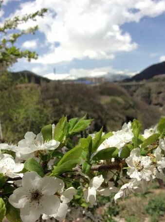 Rest home Jermuk - Photo3