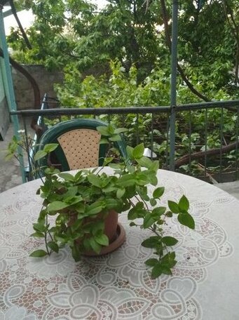 Kilikia apartment - Photo3
