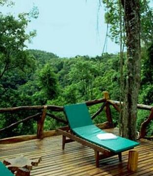 Tacuapi Lodge - Photo2