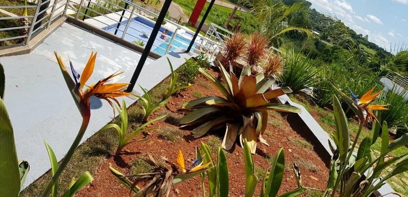 Austral Hotel - Photo5