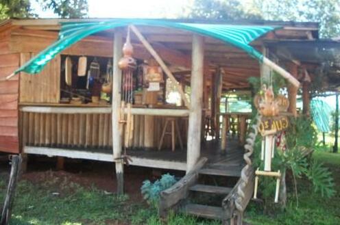 Mocona Guazu - Photo3