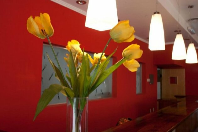 Hotel El Cisne - Photo4