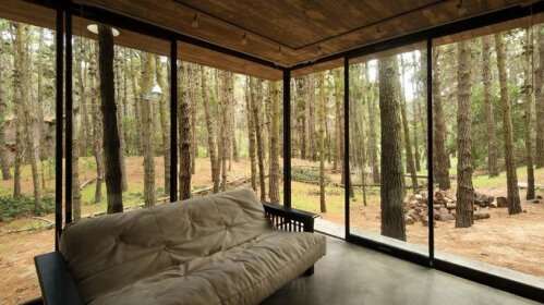 Mar y Bosque