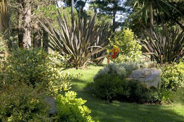 Fincas al Sur - Photo5