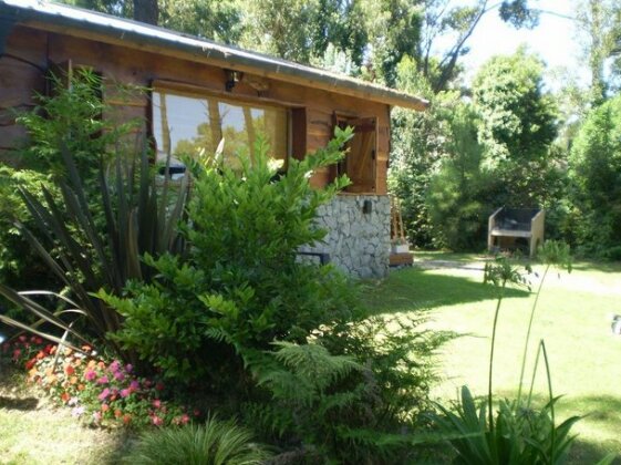 Altos del Bosque - Photo5