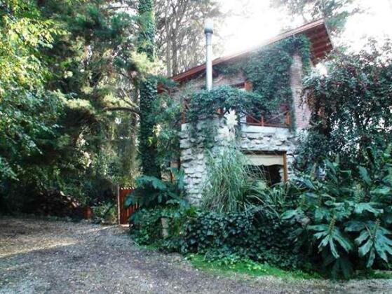Cabanas Arehue - Photo2