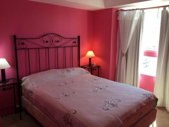 Depto pleno centro - Photo4