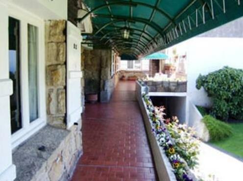 Hotel Los Troncos - Photo3