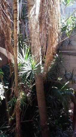Hotel Anahi Obera - Photo2